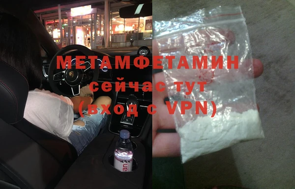трава Коряжма
