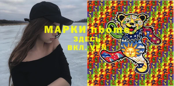трава Коряжма