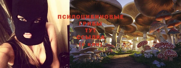 трава Коряжма