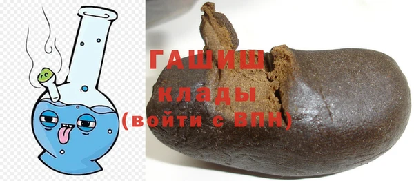 трава Коряжма