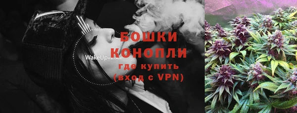 трава Коряжма