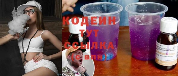 трава Коряжма