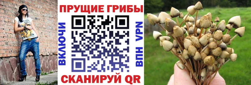 Купить закладки  Армянск  Галлюциногенные грибы GOLDEN TEACHER 